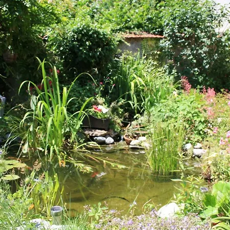 La Maison D'ivona